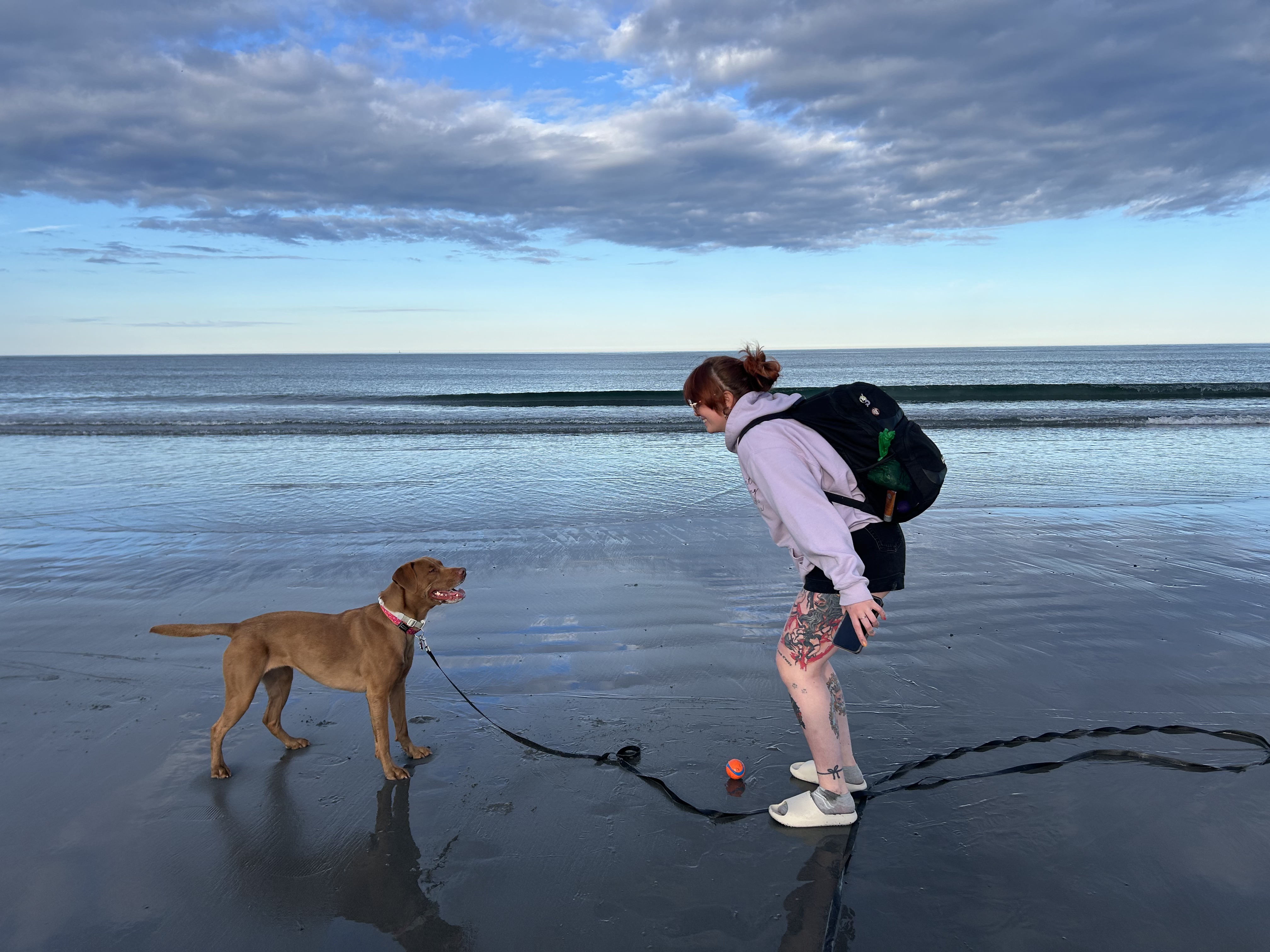 Blossom stands crouched in a hoodie, shorts, and a backback looking at a smiling medium sized pittie like dog. they are stood in front of the ocean which looks vast and blue